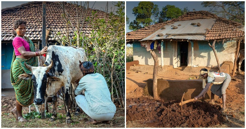 Patalkot travel guide featuring scenic valleys, lush forests, tribal culture, village life and natural beauty in Madhya Pradesh