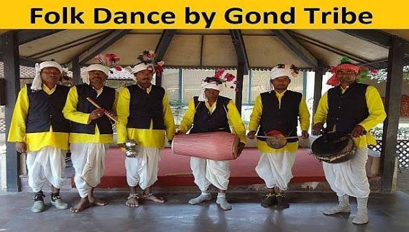 Patalkot travel guide featuring scenic valleys, lush forests, tribal culture, village life and natural beauty in Madhya Pradesh