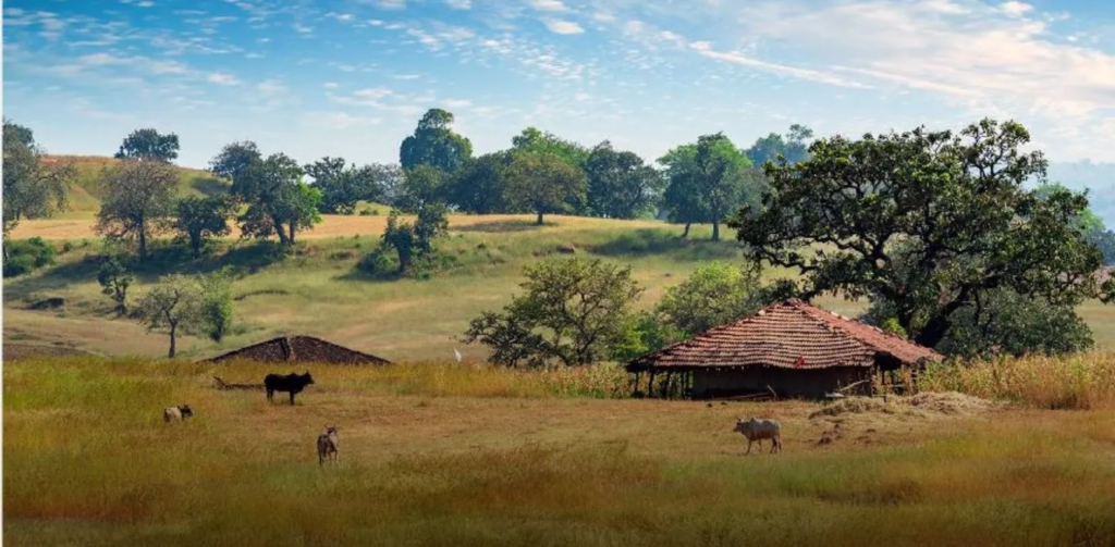 Patalkot travel guide featuring scenic valleys, lush forests, tribal culture, village life and natural beauty in Madhya Pradesh